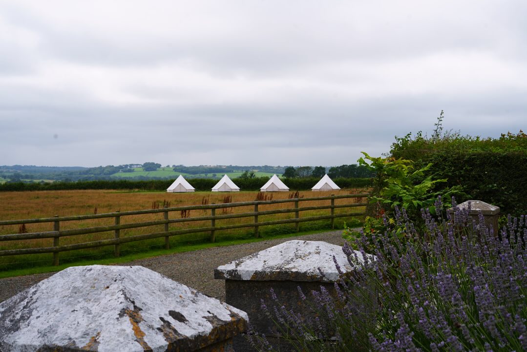 Bell tents across a field beyond a stone wall