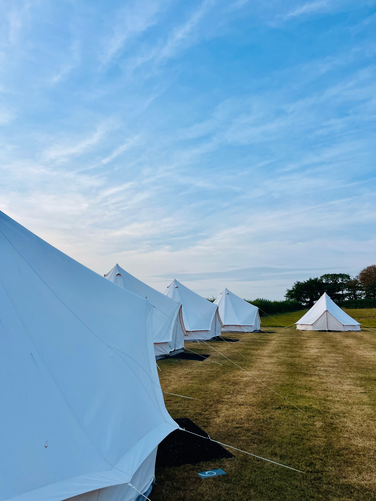 Row of cream bell tents pitched in an open meadow beneath a wide blue sky